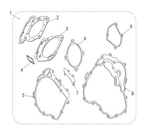 FRAGILE GASKET ASSY.