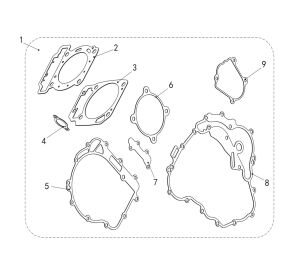 FRAGILE GASKET ASSY.