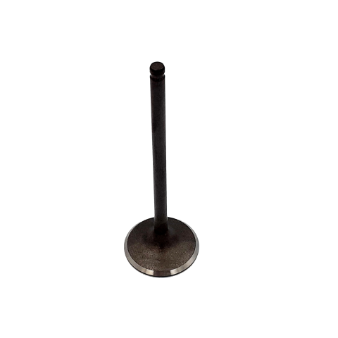 VALVE, INTAKE