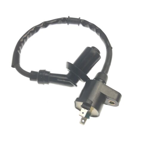 COIL ASSY, IGNITION