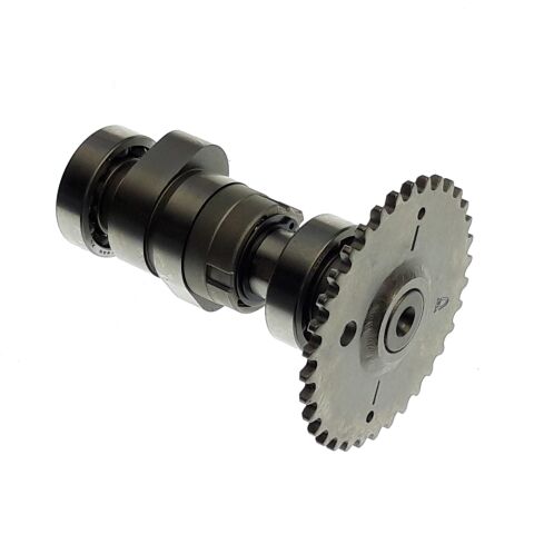 Cam shaft comp 300cc