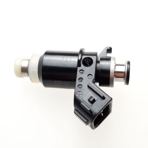 Injector, Fuel