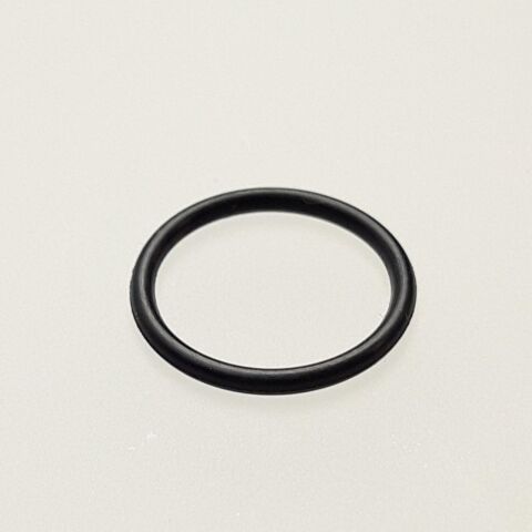 O-RING,TPS
