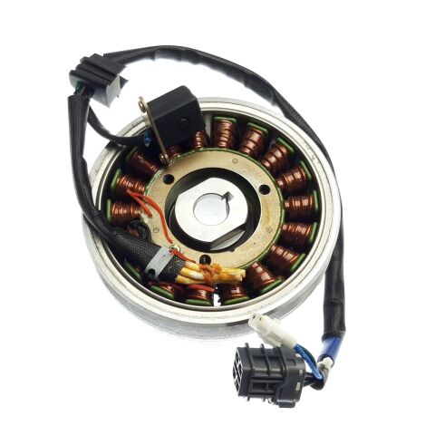 FLYWHEEL MAGNETO ASSY