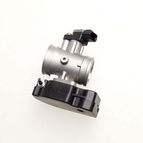 Throttle Body w/TPS