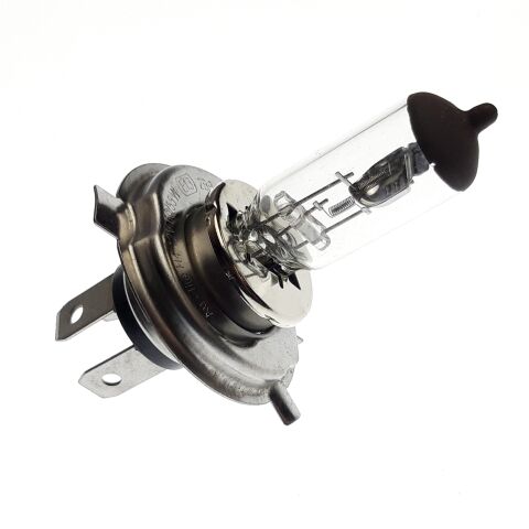 Bulb,main