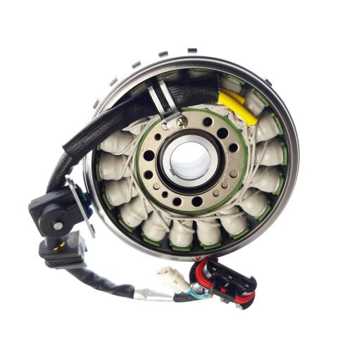 FLYWHEEL MAGNETO ASSY