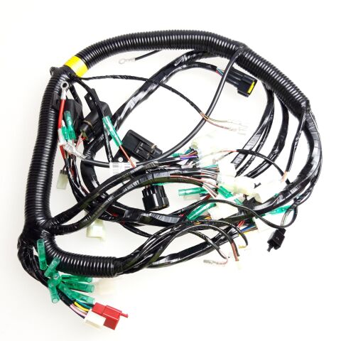 Main Wire Ass´y