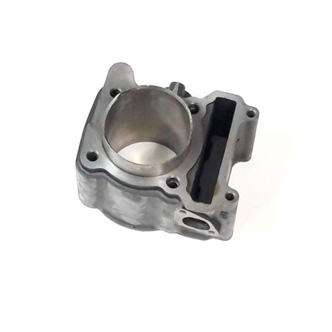 Cylinder (550cc)