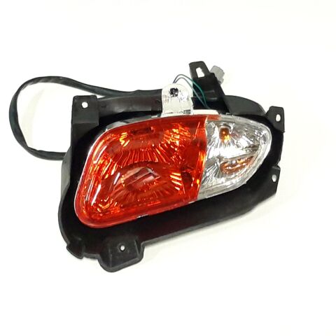 TAILLIGHT,R.ASSY