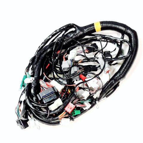 Main Wire Ass´y