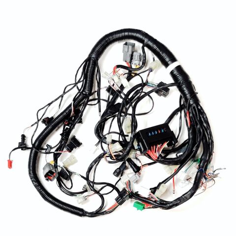 Main Wire Ass´y
