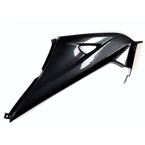 COVER SIDE, RH.(CARBON COATING)