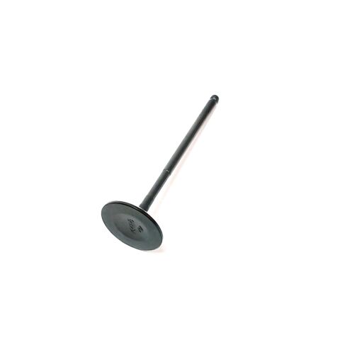 VALVE, INTAKE