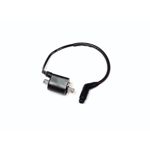 IGNITION COIL AND WIRE