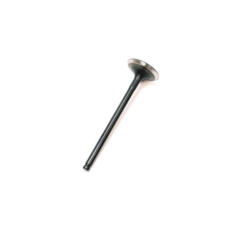 VALVE, EXHAUST
