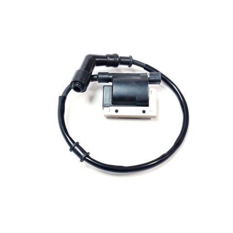 COIL ASSY IGNITION (W/CAP)
