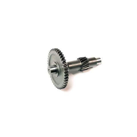 Reverse Gear Shaft Assembly