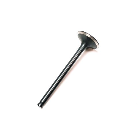 EXHAUST VALVE