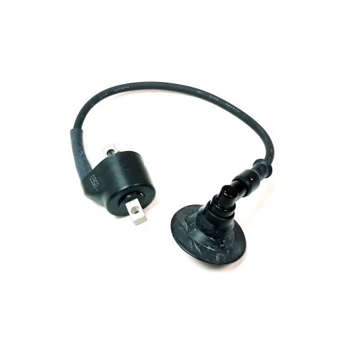 COIL ASSY, IGNITION