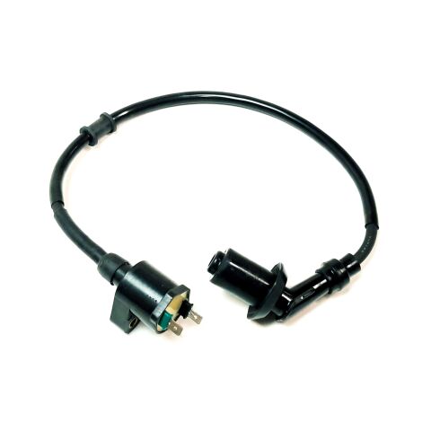 COIL ASSY, IGNITION