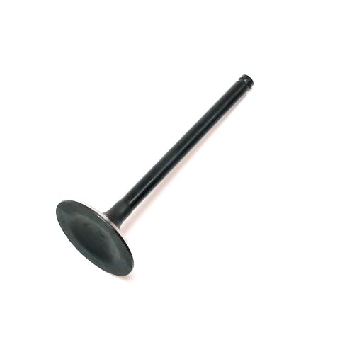INTAKE VALVE
