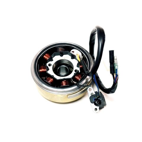 FLYWHEEL MAGNETO ASSY