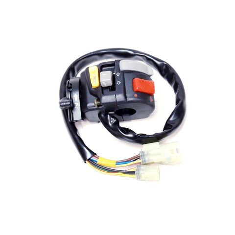 SWITCH ASSY., LH