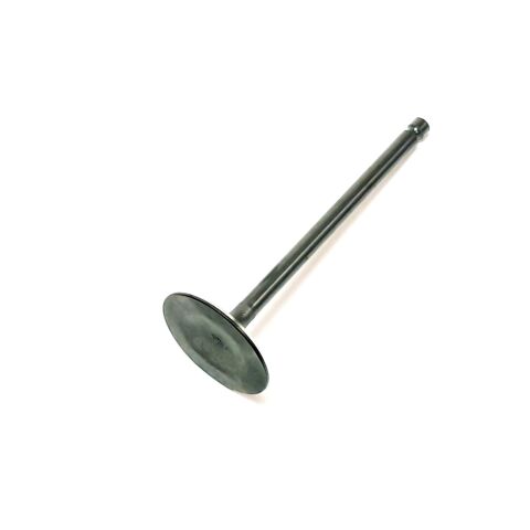 Valve, Intake