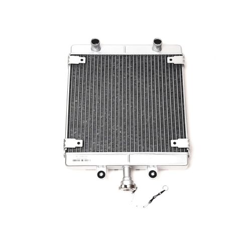 RADIATOR BODY ASSEMBLY(V)