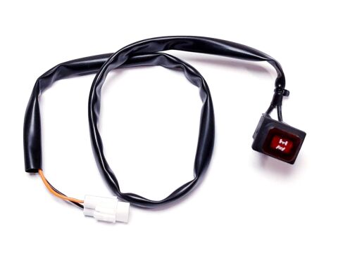 REAR DIFFERENTIAL SWITCH