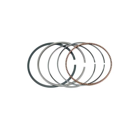 OIL RING ASSY