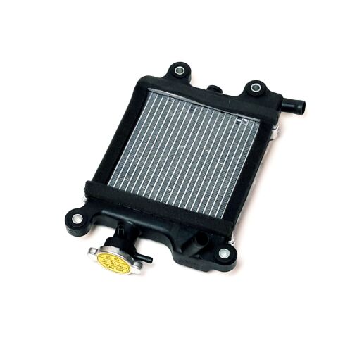 RADIATOR COMP
