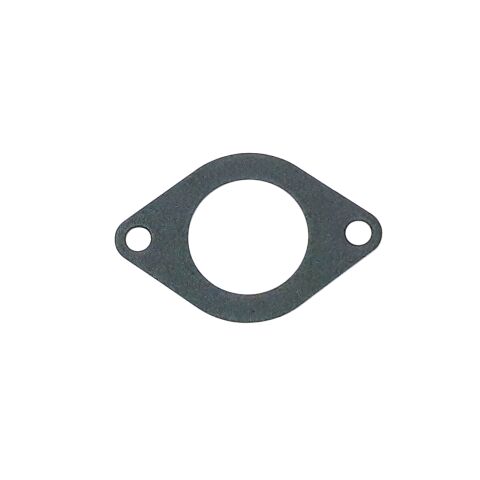 GASKET, INTAKE MANIFOLD-02 570LC