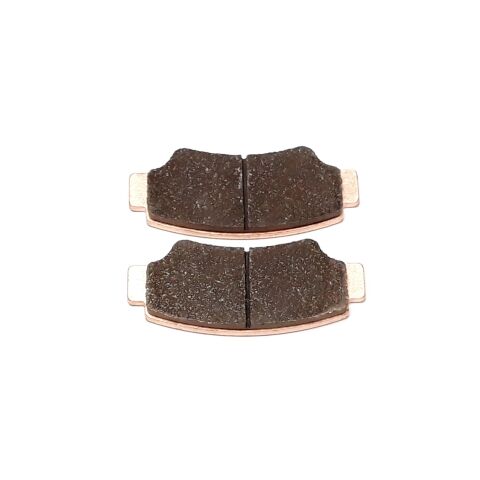 REAR BRAKE PAD ASSY (2 PADS)