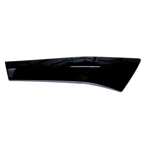LEFT DOOR PANEL (BLACK)