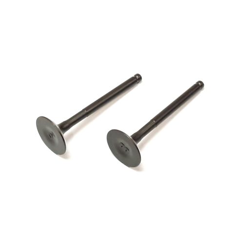 Valve kit