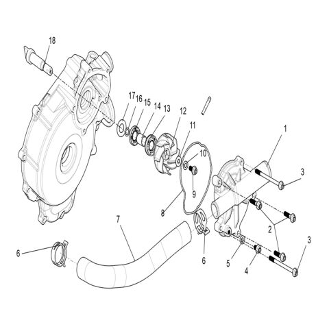 Water Pump assembly