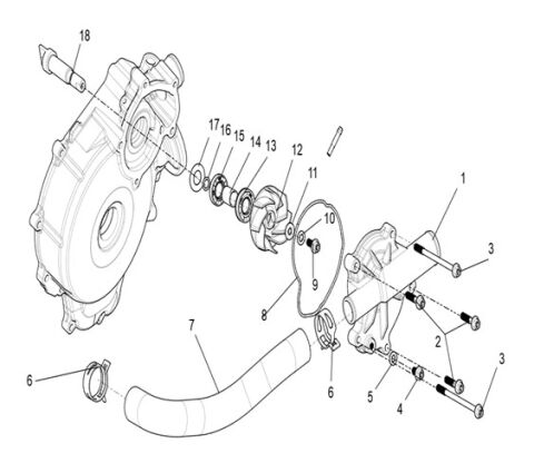 Water Pump assembly.