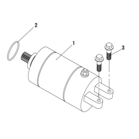 STARTING MOTOR