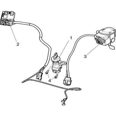 HANDLE SWITCH
