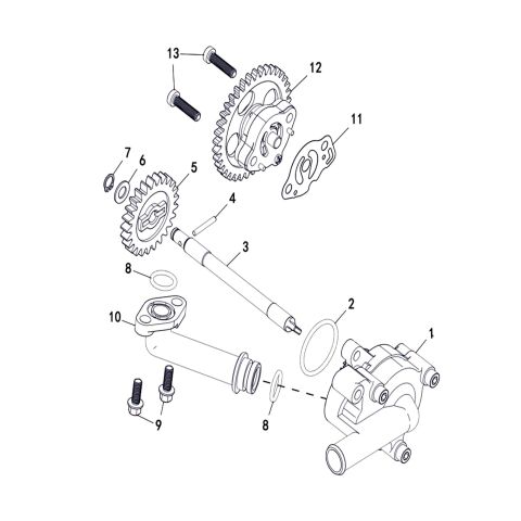 WATER PUMP AND OIL PUMP