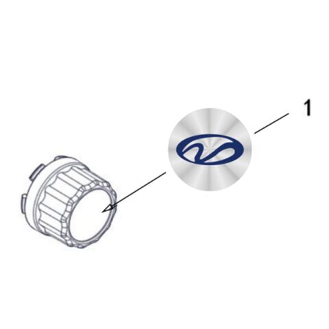 RIM COVER DECAL (LINHAI)