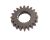 GEAR, Water Pump Drive (Ref. č 6)