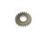 REVERSE IDLE GEAR (Ref. č 13)