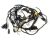 WIRING HARNESS(FOR EFI EUROPE) (Ref. č 1)