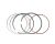PISTON RING SET (FOR ATV300) (Ref. č 6)