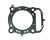 GASKET 2, CYLINDER HEAD (Ref. č 5)