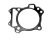 GASKET, cylinder (Ref. č 2)