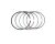 OIL RING ASSY (Ref. č 12)